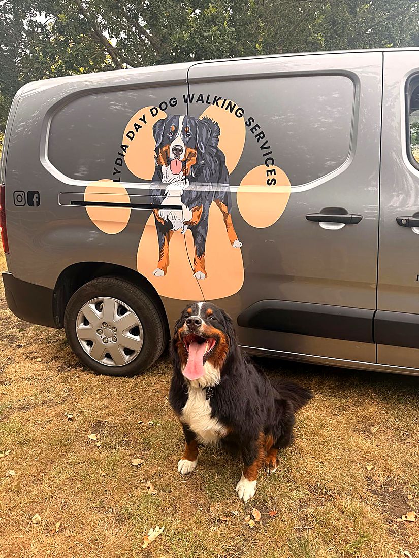 A happy dog on a Lydia Day walk